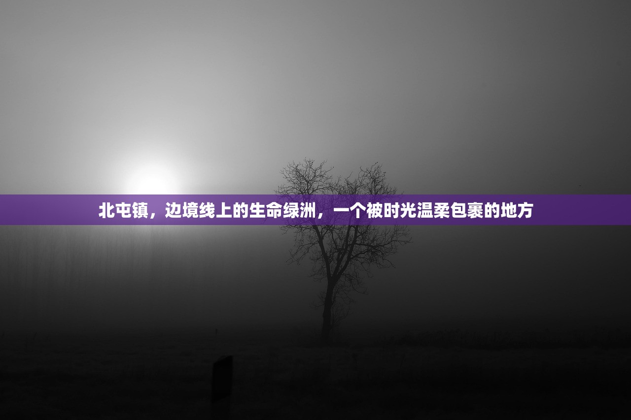 北屯镇,边境线上的生命绿洲,一个被时光温柔包裹的地方 北屯镇,边境线上的生命绿洲,一个被时光温柔包裹的地方