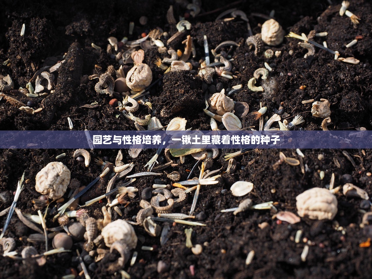 园艺与性格培养，一锹土里藏着性格的种子