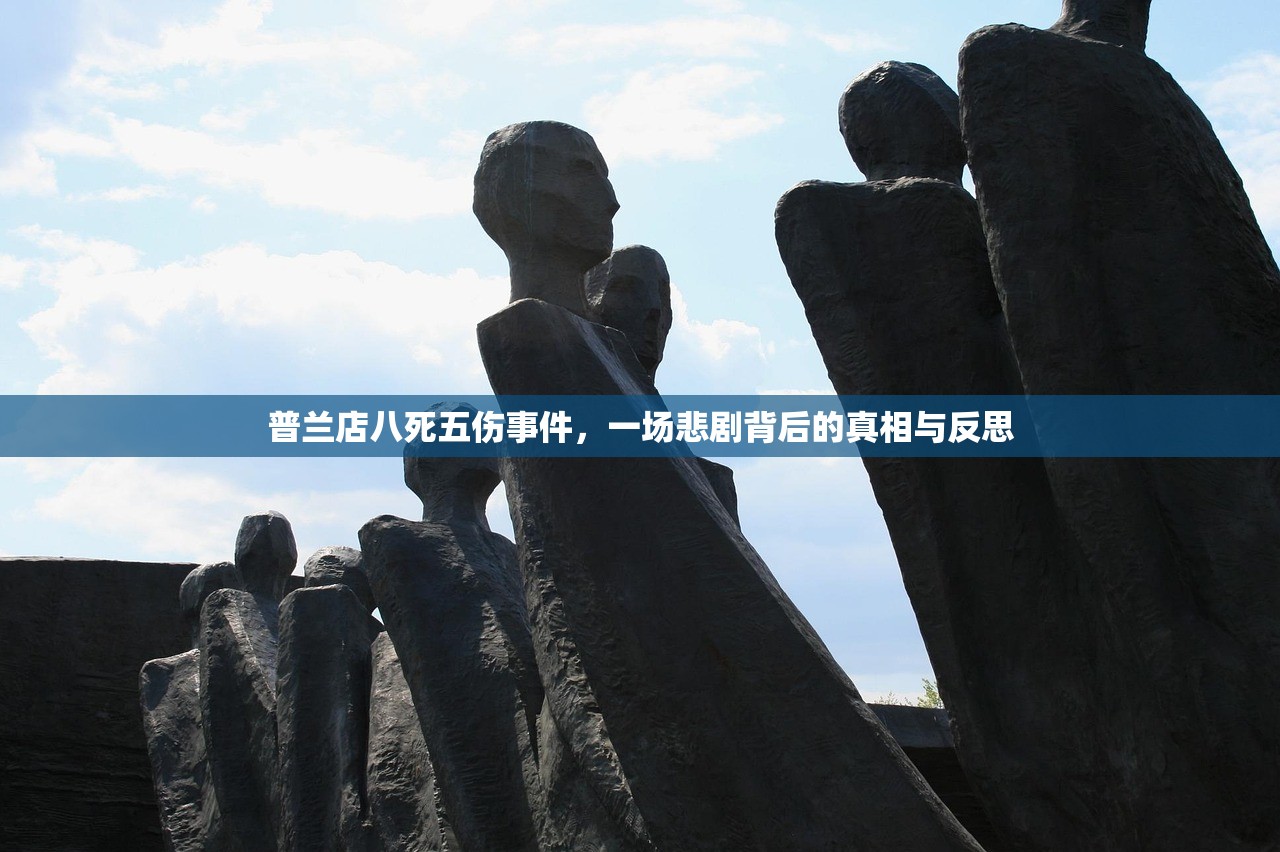 普兰店八死五伤事件，一场悲剧背后的真相与反思