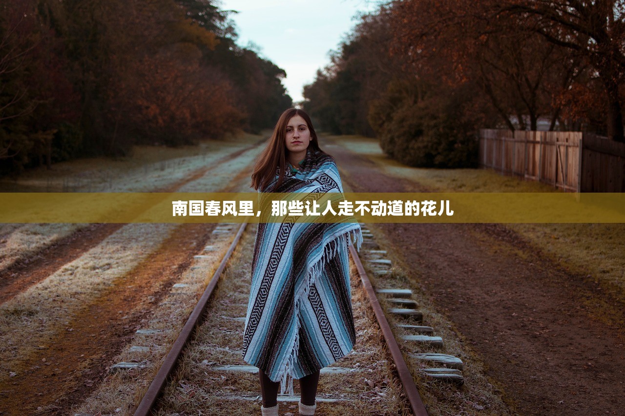 南国春风里，那些让人走不动道的花儿