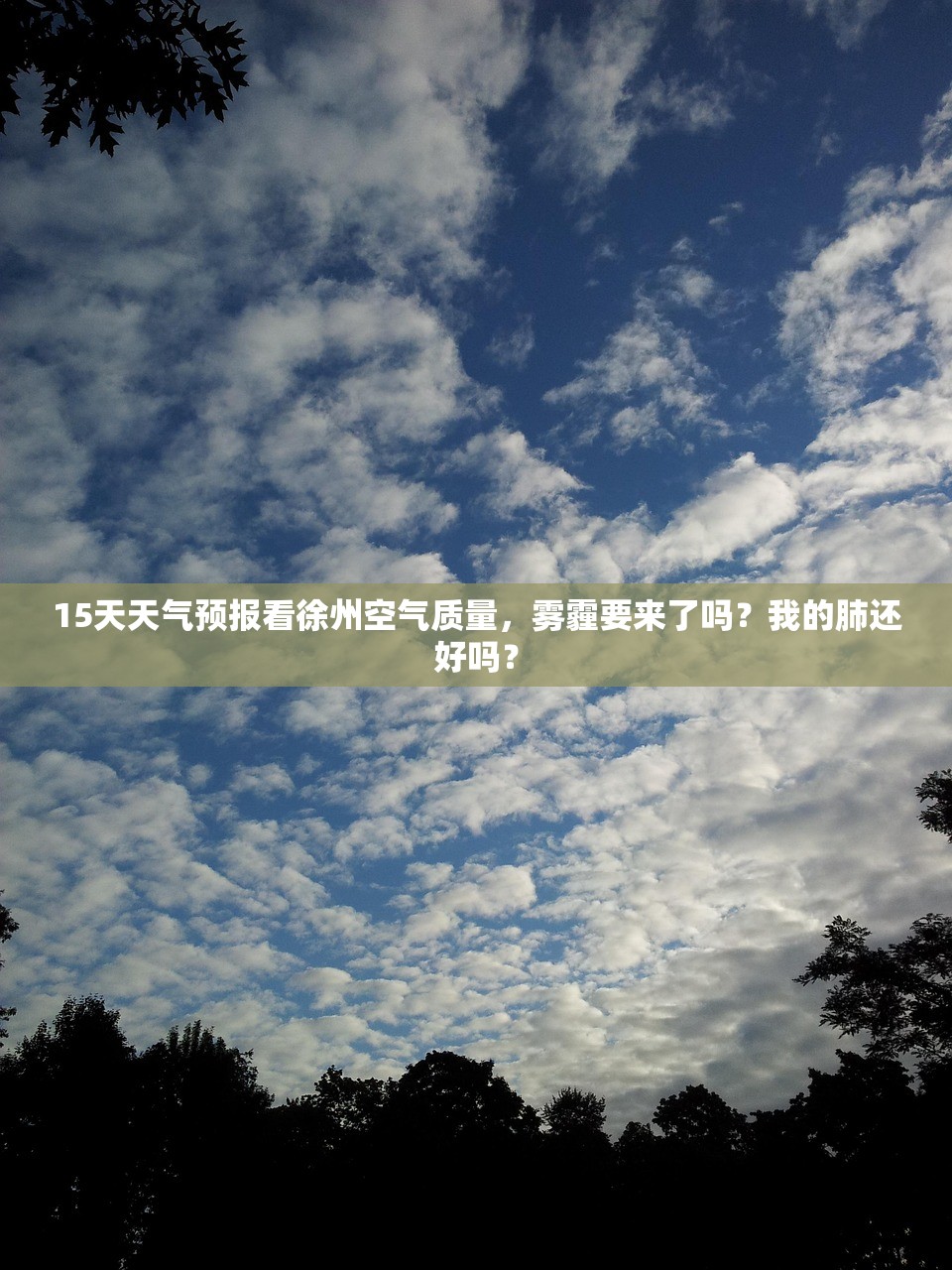 15天天气预报看徐州空气质量，雾霾要来了吗？我的肺还好吗？