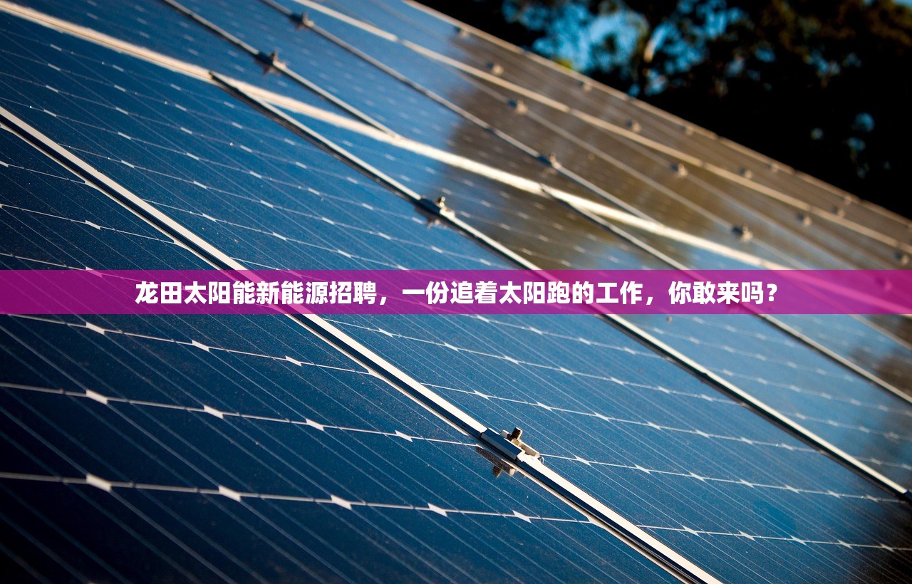 龙田太阳能新能源招聘，一份追着太阳跑的工作，你敢来吗？