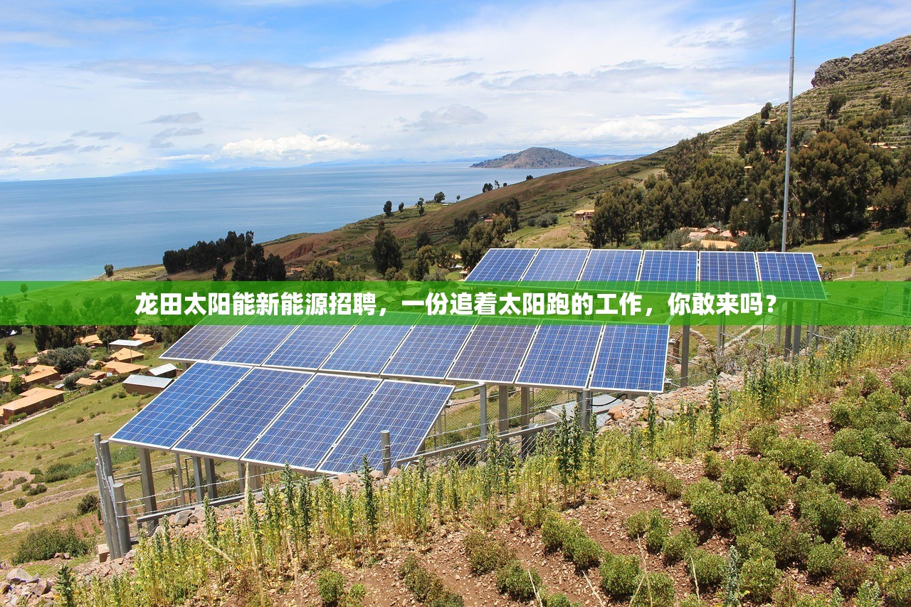 龙田太阳能新能源招聘，一份追着太阳跑的工作，你敢来吗？