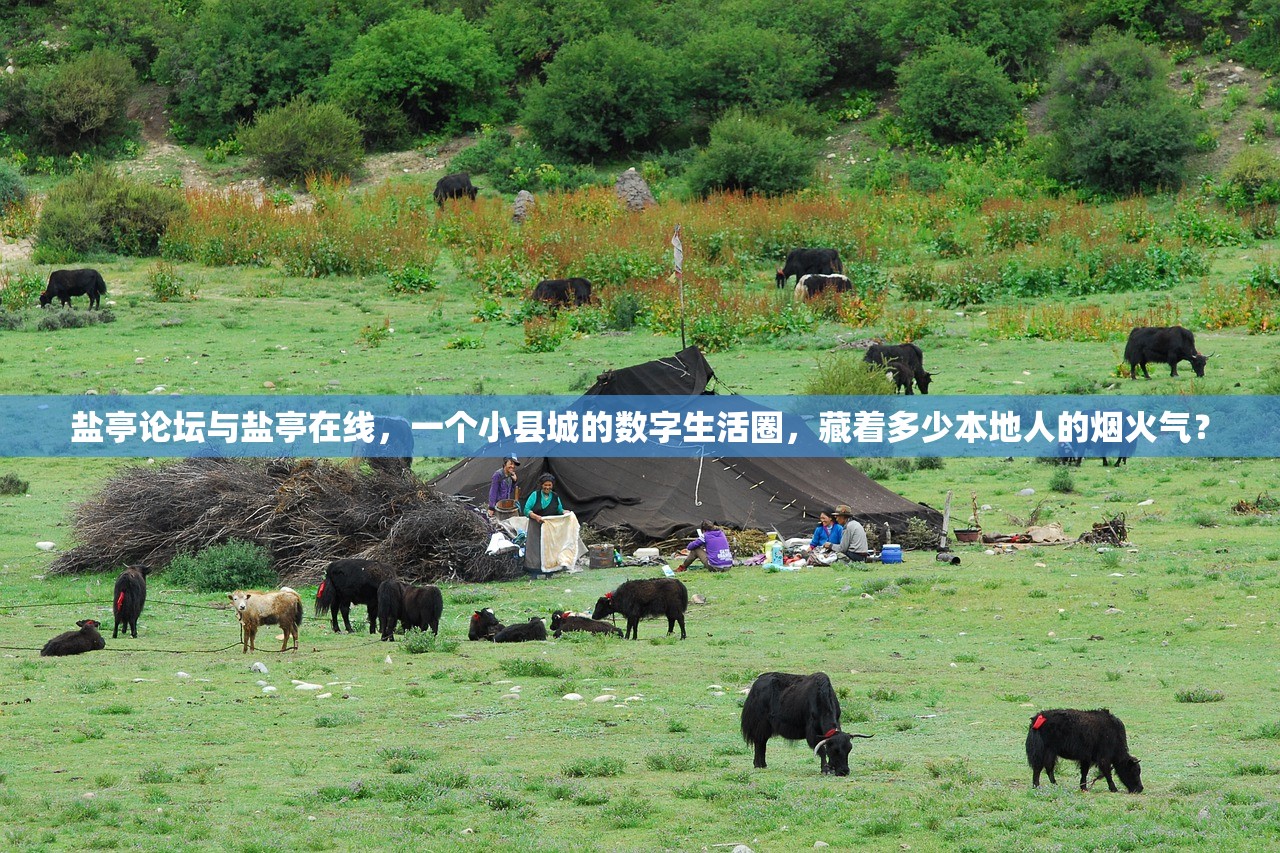 盐亭论坛与盐亭在线，一个小县城的数字生活圈，藏着多少本地人的烟火气？