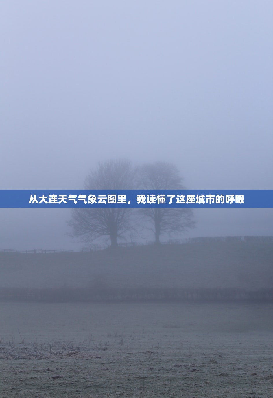 从大连天气气象云图里，我读懂了这座城市的呼吸