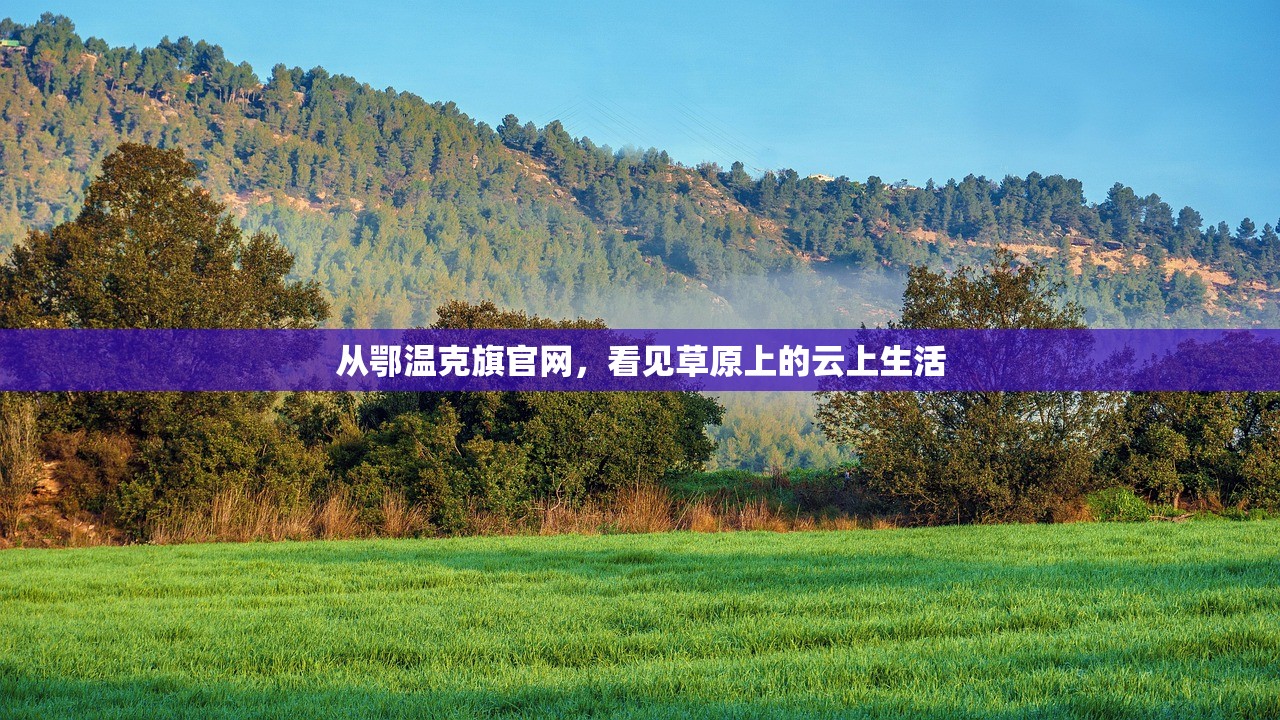 从鄂温克旗官网,看见草原上的云上生活 从鄂温克旗官网,看见草原上的云上生活