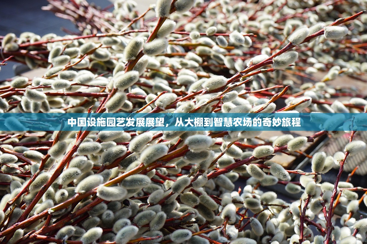 中国设施园艺发展展望，从大棚到智慧农场的奇妙旅程