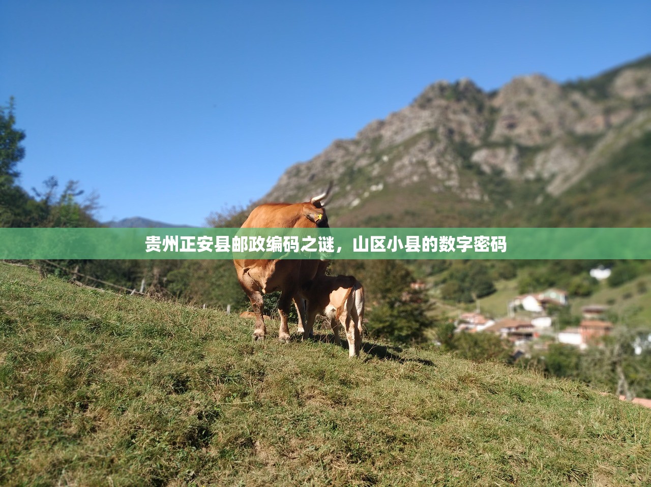 贵州正安县邮政编码之谜，山区小县的数字密码