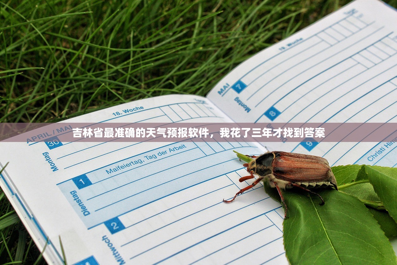 吉林省最准确的天气预报软件，我花了三年才找到答案