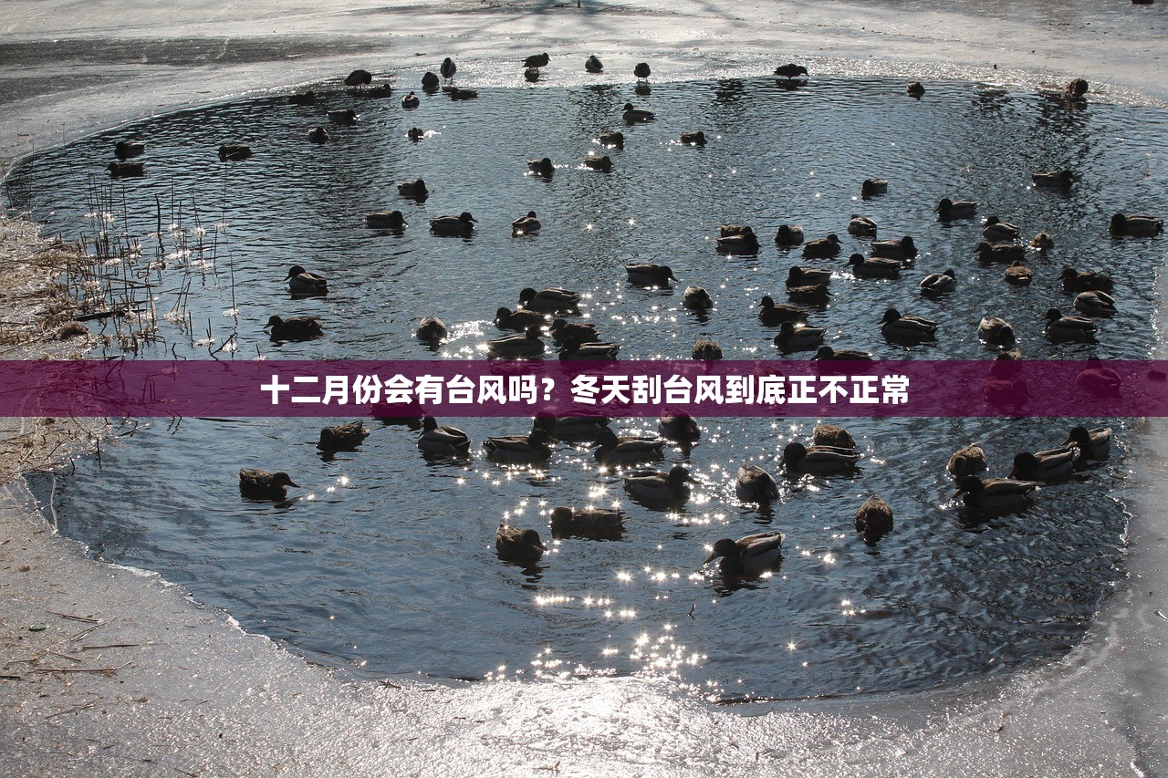十二月份会有台风吗？冬天刮台风到底正不正常
