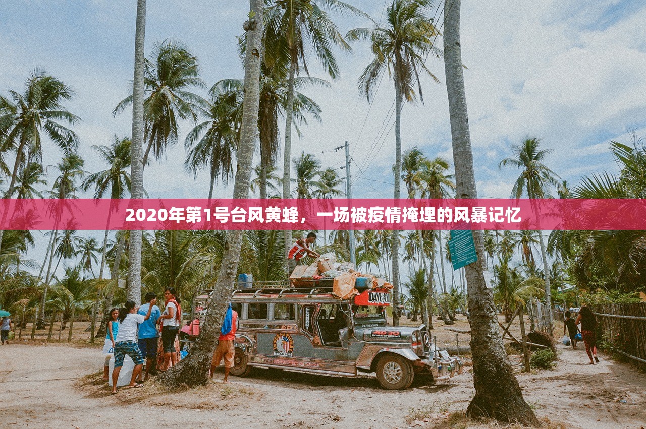 2020年第1号台风黄蜂，一场被疫情掩埋的风暴记忆
