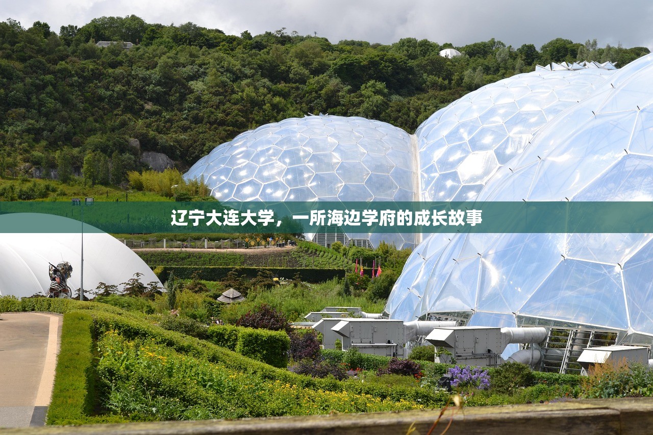辽宁大连大学，一所海边学府的成长故事