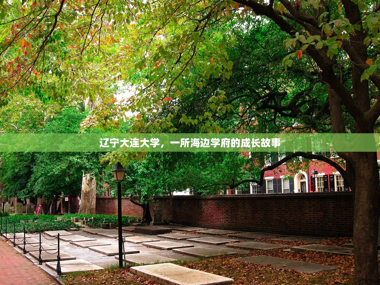 辽宁大连大学，一所海边学府的成长故事