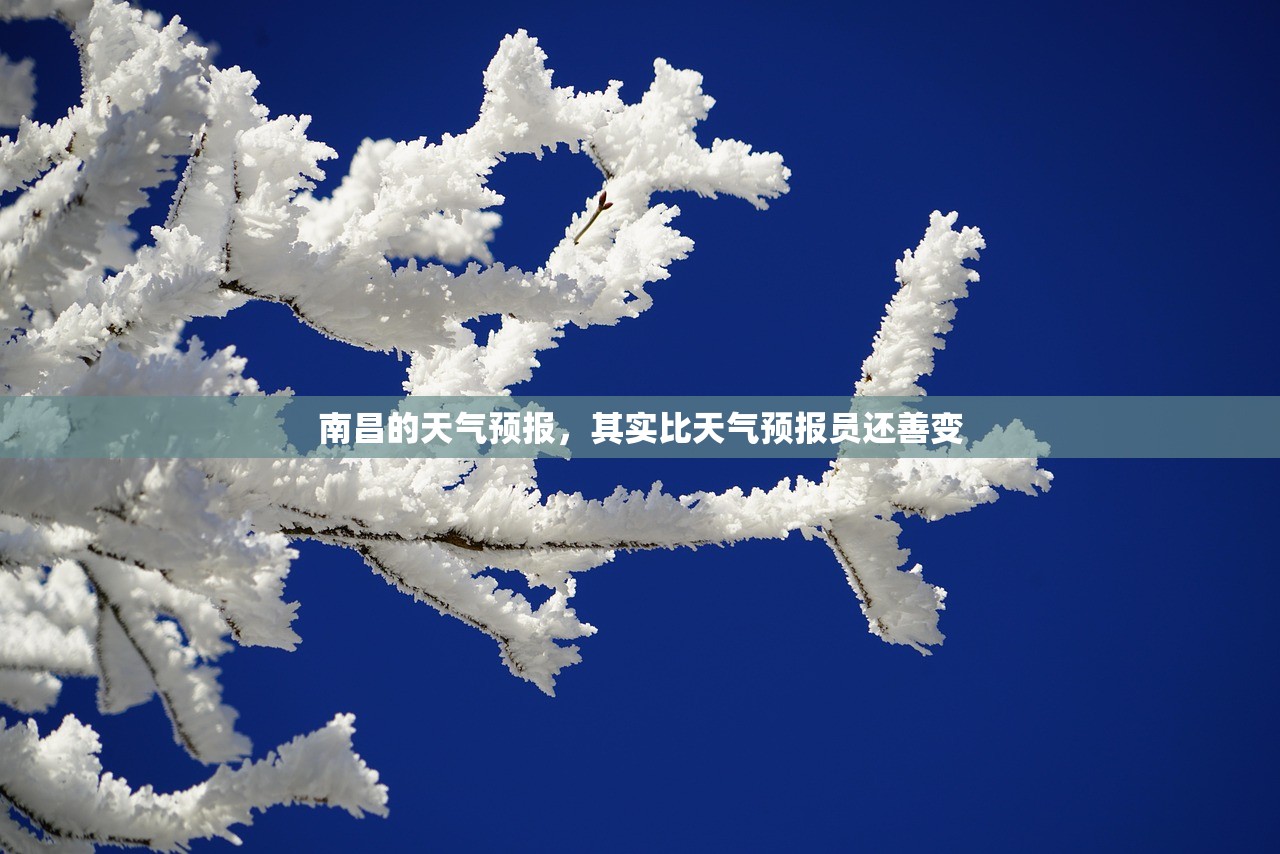 南昌的天气预报，其实比天气预报员还善变