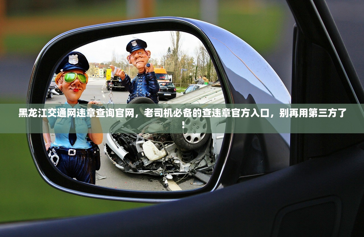 黑龙江交通网违章查询官网，老司机必备的查违章官方入口，别再用第三方了！