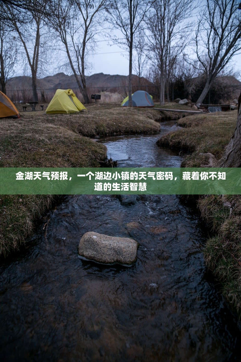 金湖天气预报，一个湖边小镇的天气密码，藏着你不知道的生活智慧