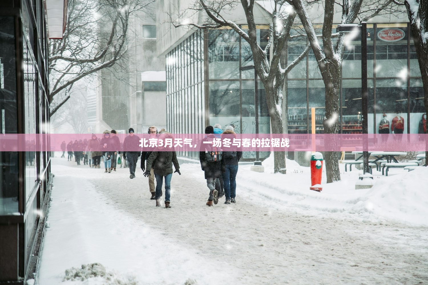 北京3月天气,一场冬与春的拉锯战 北京3月天气,一场冬与春的拉锯战