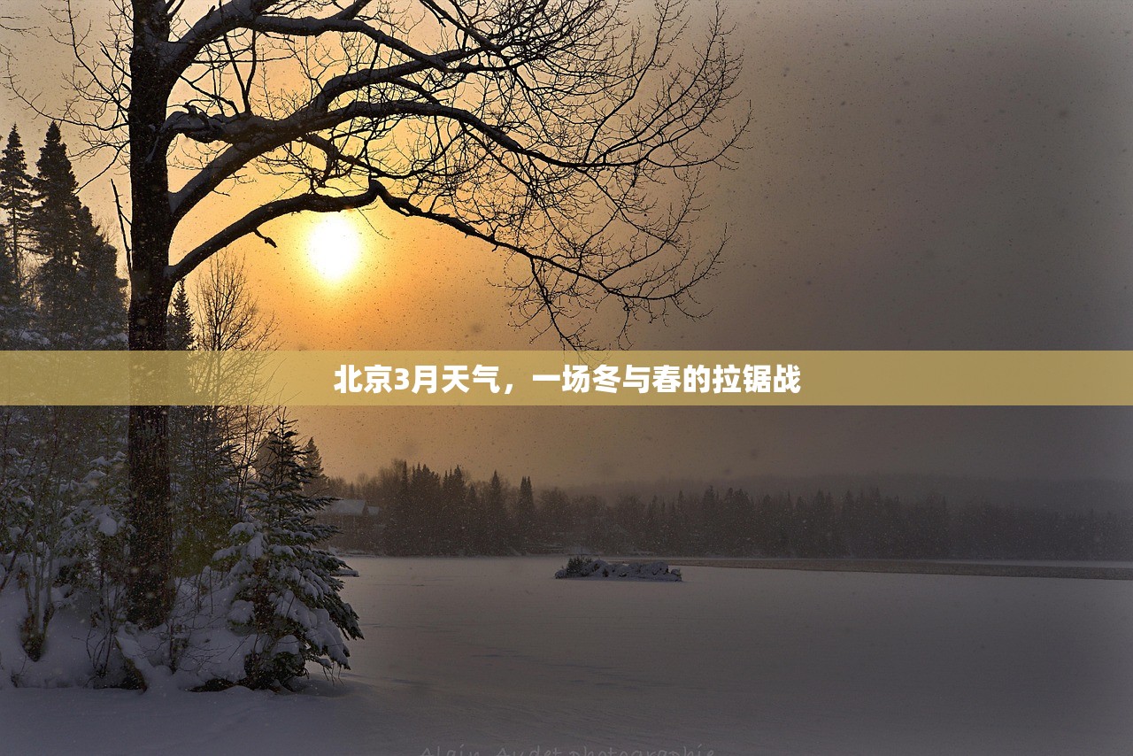 北京3月天气,一场冬与春的拉锯战 北京3月天气,一场冬与春的拉锯战