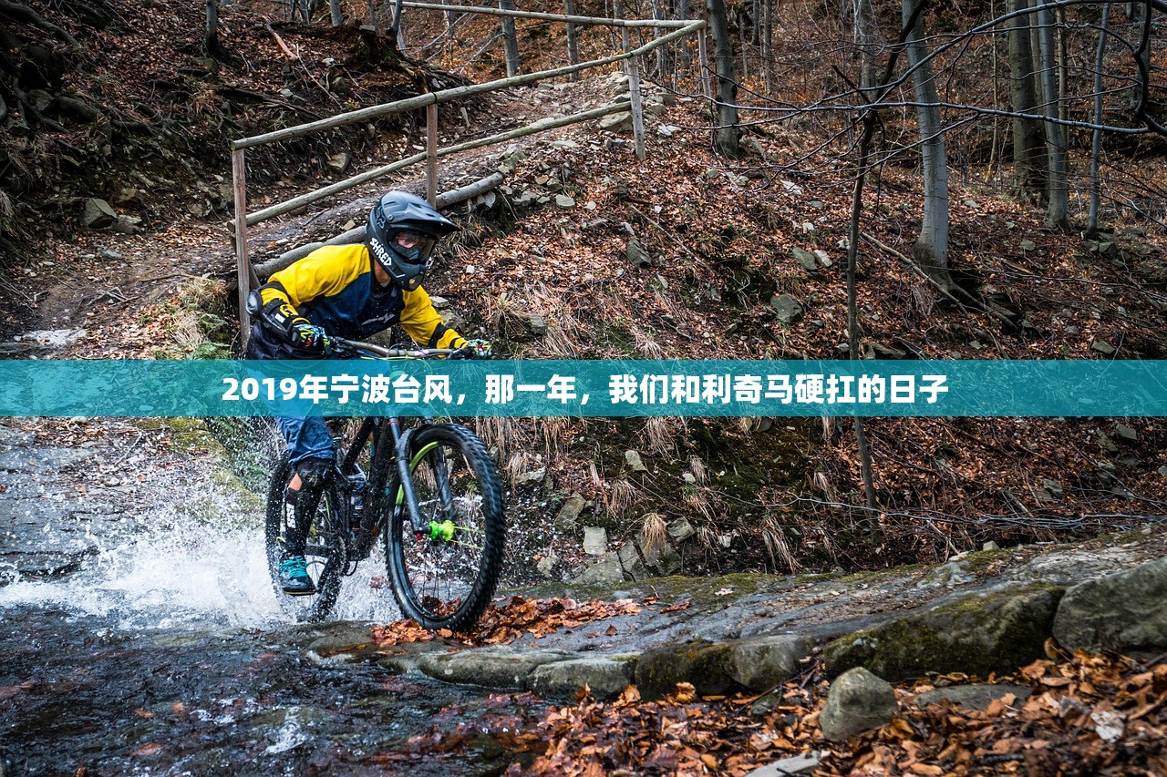 2019年宁波台风，那一年，我们和利奇马硬扛的日子