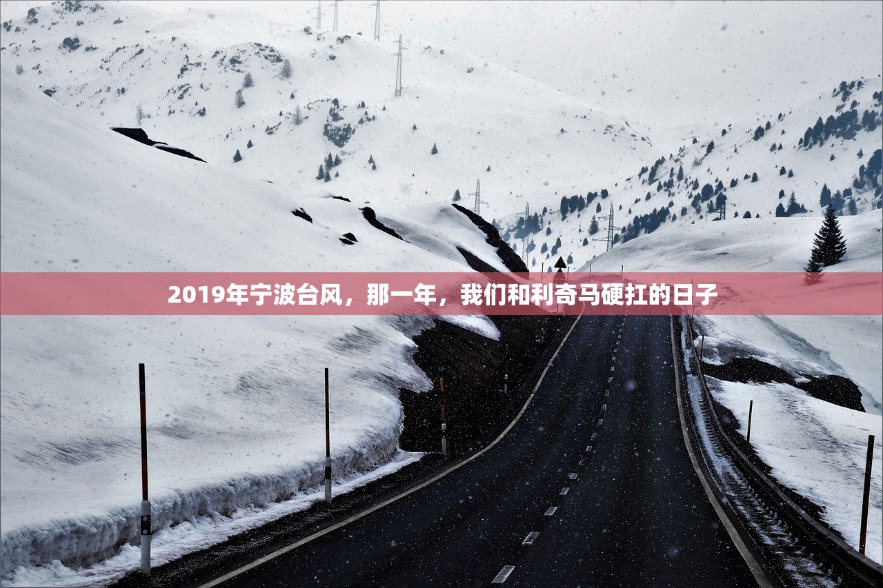 2019年宁波台风，那一年，我们和利奇马硬扛的日子