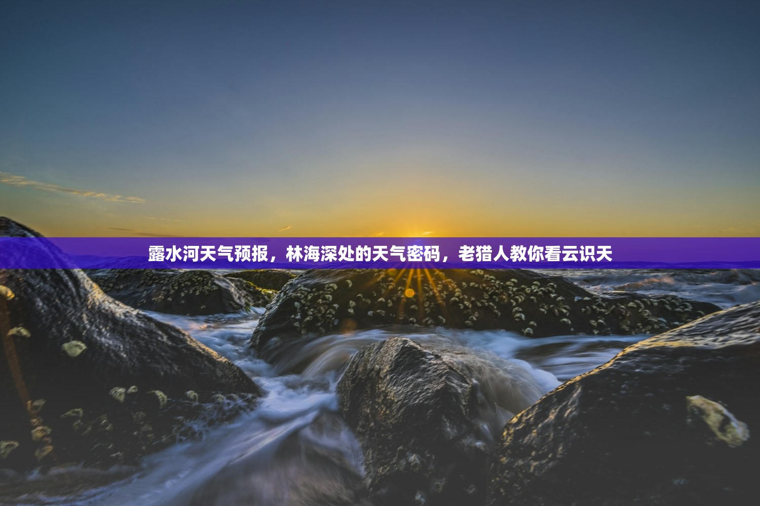 露水河天气预报，林海深处的天气密码，老猎人教你看云识天