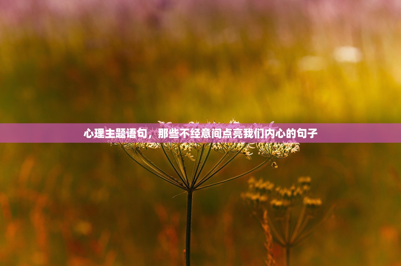 心理主题语句，那些不经意间点亮我们内心的句子