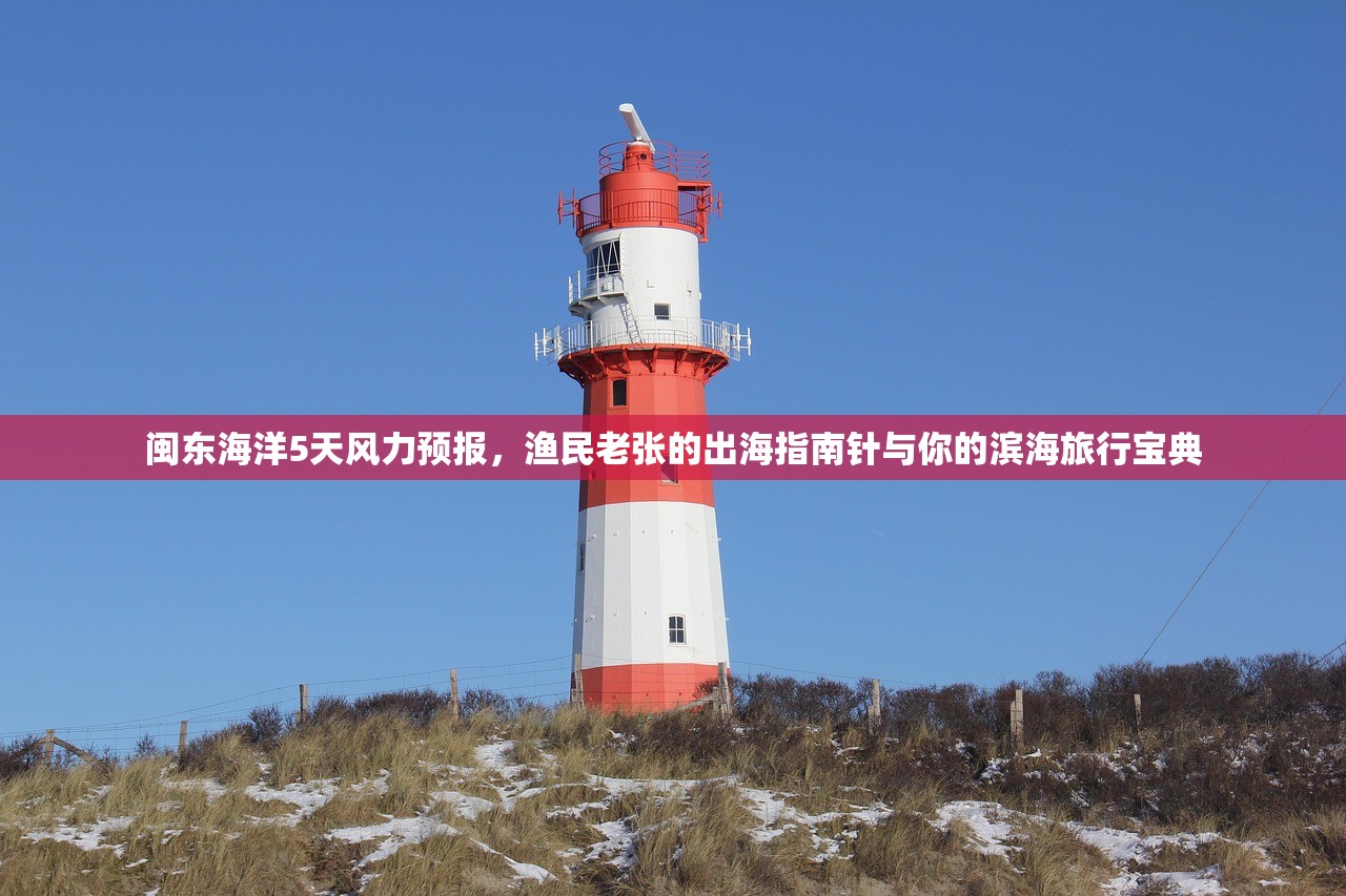 闽东海洋5天风力预报，渔民老张的出海指南针与你的滨海旅行宝典