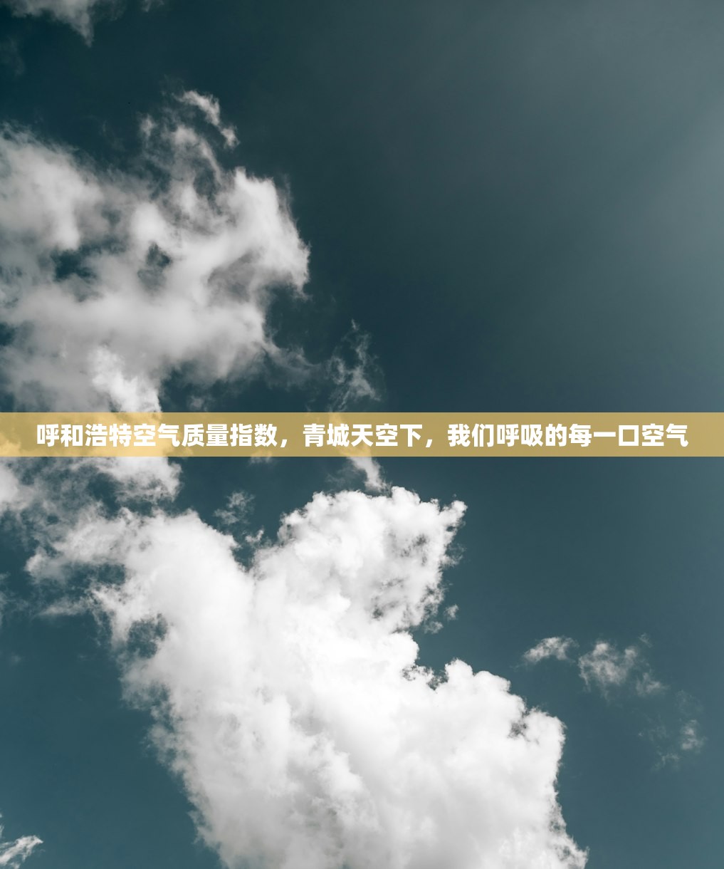 呼和浩特空气质量指数，青城天空下，我们呼吸的每一口空气