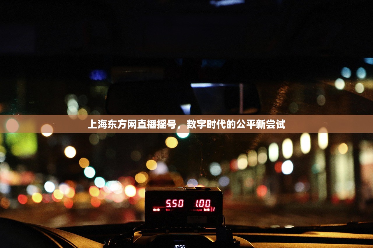 上海东方网直播摇号，数字时代的公平新尝试