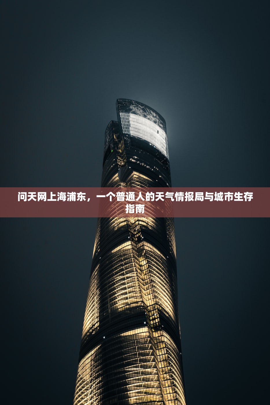 问天网上海浦东，一个普通人的天气情报局与城市生存指南
