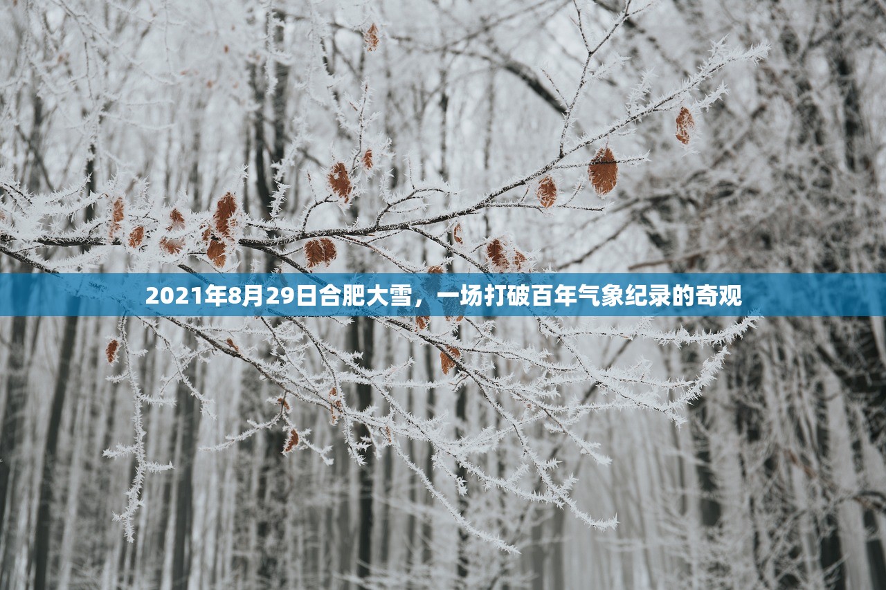 2021年8月29日合肥大雪,一场打破百年气象纪录的奇观 2021年8月29日合肥大雪,一场打破百年气象纪录的奇观