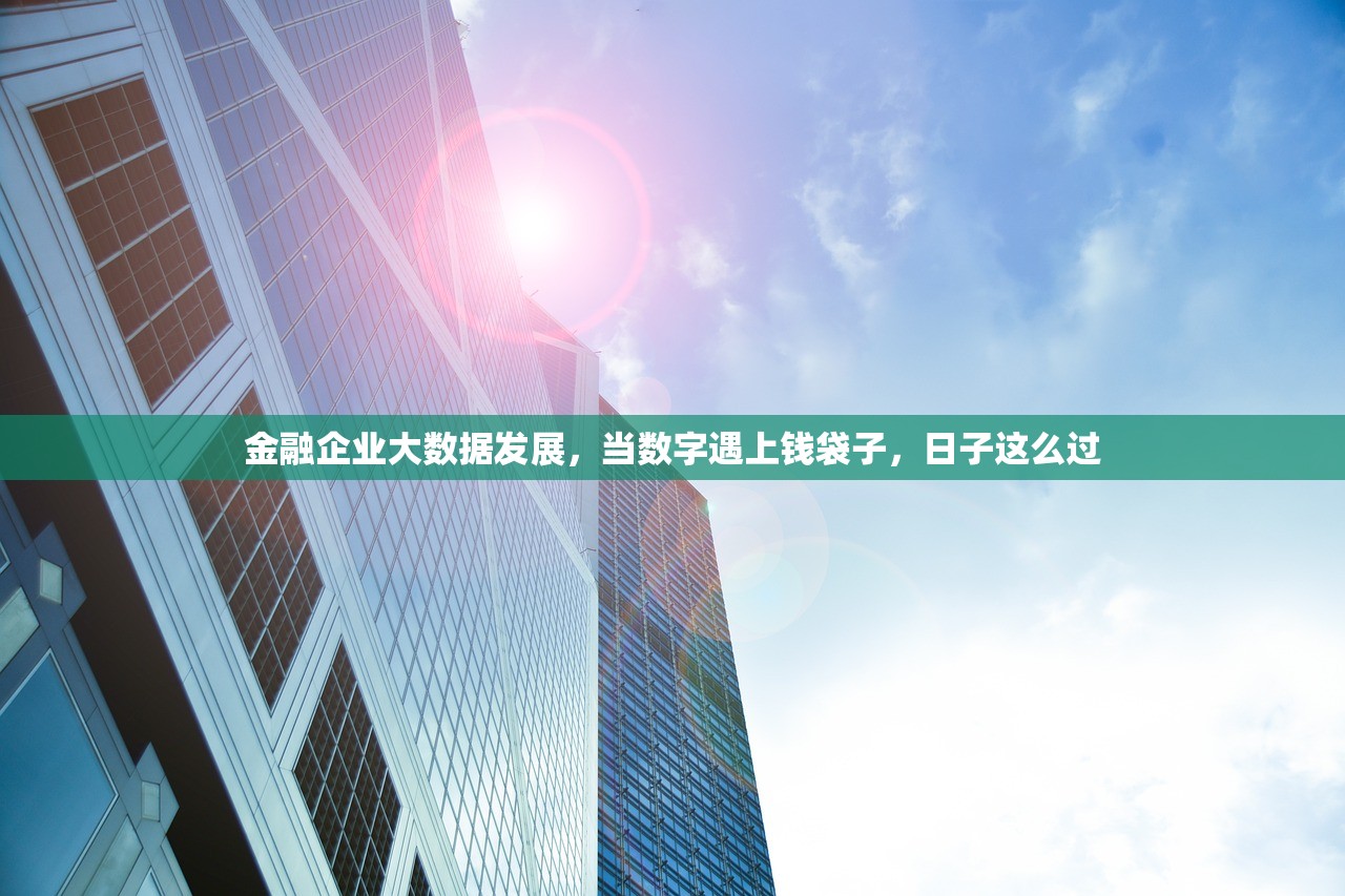 金融企业大数据发展,当数字遇上钱袋子,日子这么过 金融企业大数据发展,当数字遇上钱袋子,日子这么过