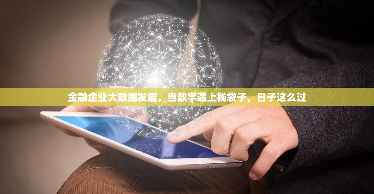 金融企业大数据发展，当数字遇上钱袋子，日子这么过