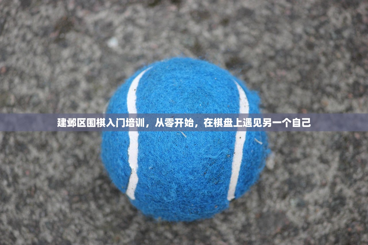 建邺区围棋入门培训,从零开始,在棋盘上遇见另一个自己 建邺区围棋入门培训,从零开始,在棋盘上遇见另一个自己
