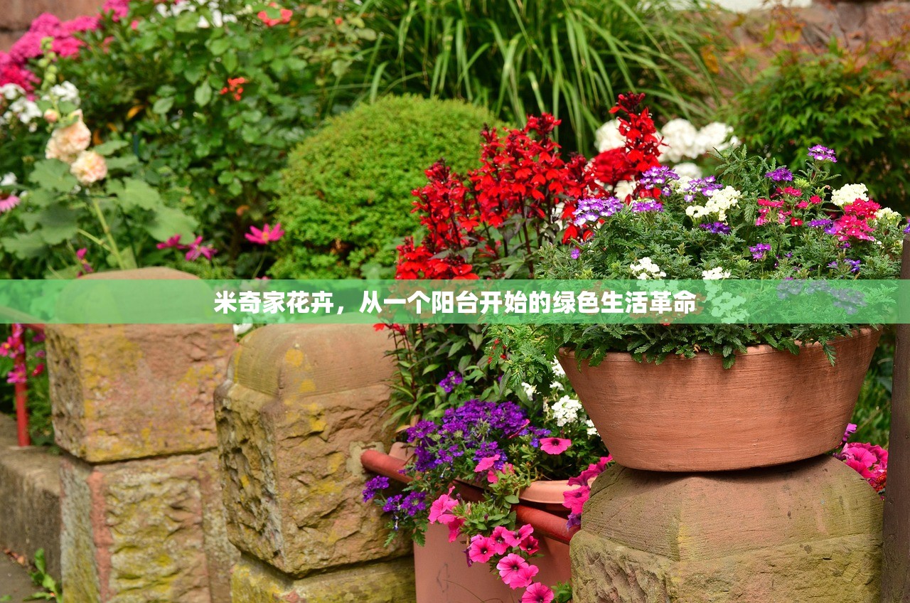 米奇家花卉,从一个阳台开始的绿色生活革命 米奇家花卉,从一个阳台开始的绿色生活革命