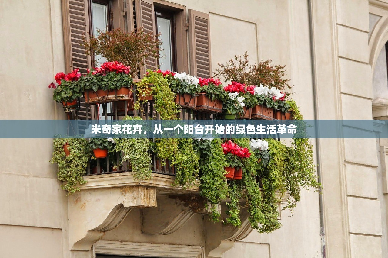 米奇家花卉,从一个阳台开始的绿色生活革命 米奇家花卉,从一个阳台开始的绿色生活革命