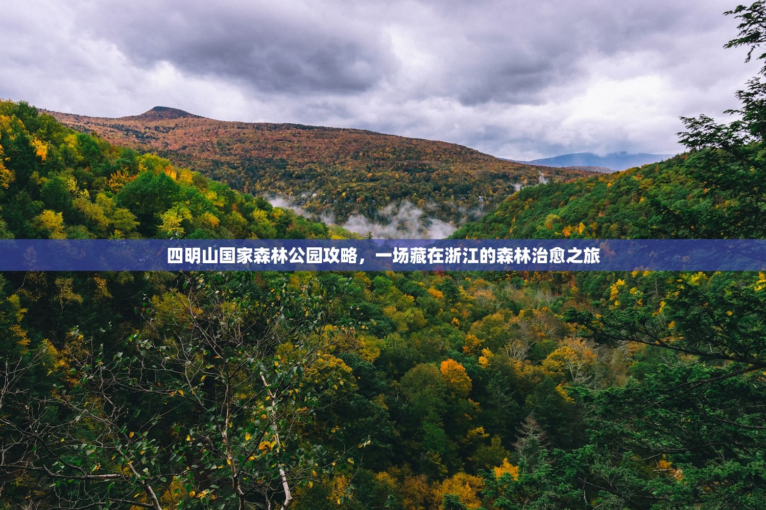 四明山国家森林公园攻略，一场藏在浙江的森林治愈之旅