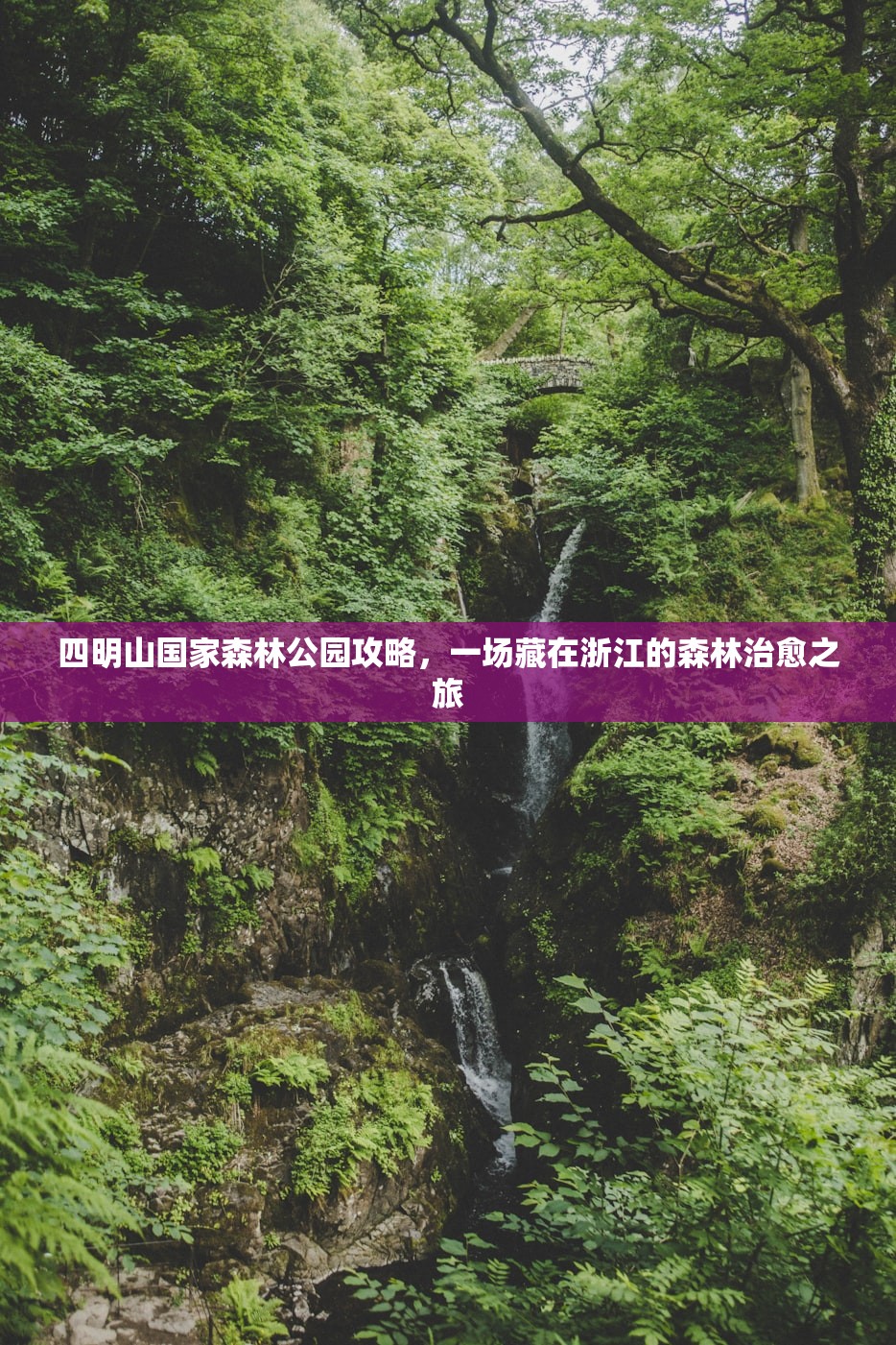 四明山国家森林公园攻略,一场藏在浙江的森林治愈之旅 四明山国家森林公园攻略,一场藏在浙江的森林治愈之旅