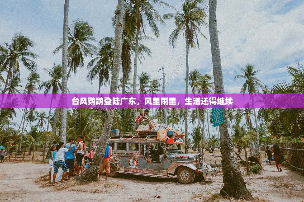 台风鹦鹉登陆广东，风里雨里，生活还得继续