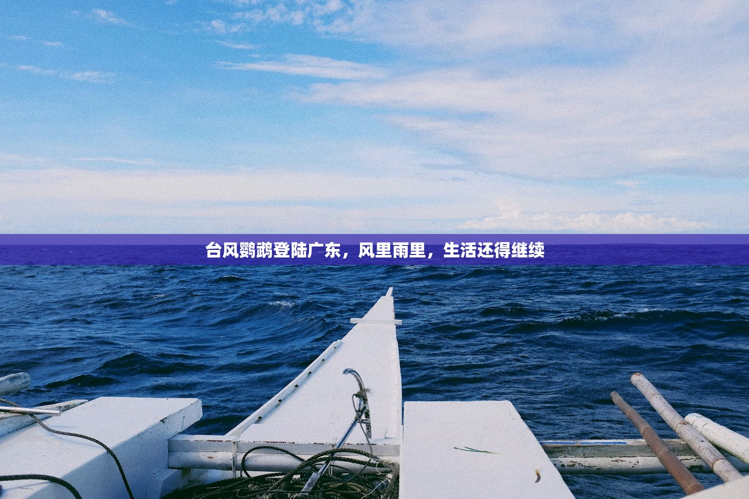 台风鹦鹉登陆广东,风里雨里,生活还得继续 台风鹦鹉登陆广东,风里雨里,生活还得继续