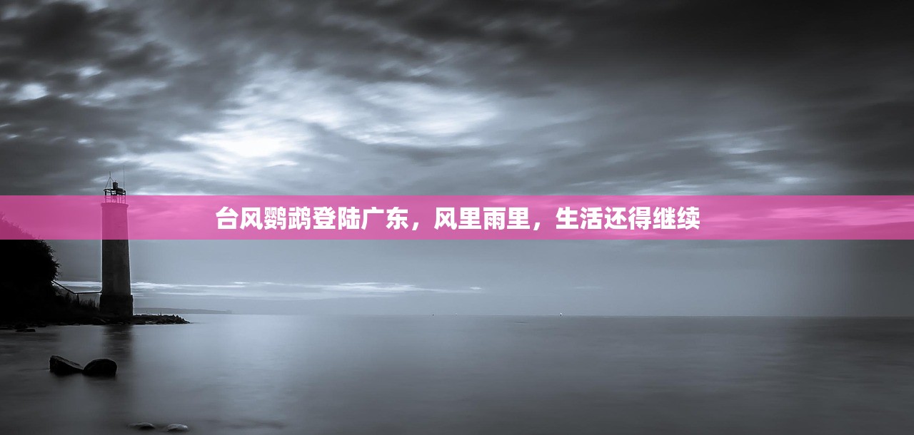台风鹦鹉登陆广东,风里雨里,生活还得继续 台风鹦鹉登陆广东,风里雨里,生活还得继续