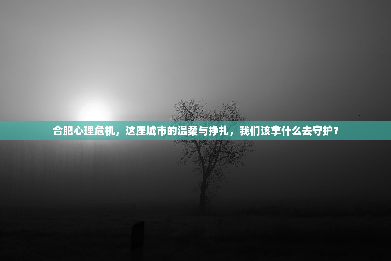 合肥心理危机，这座城市的温柔与挣扎，我们该拿什么去守护？