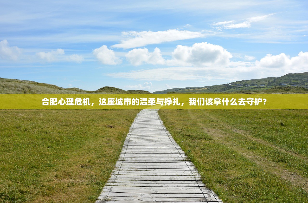 合肥心理危机，这座城市的温柔与挣扎，我们该拿什么去守护？