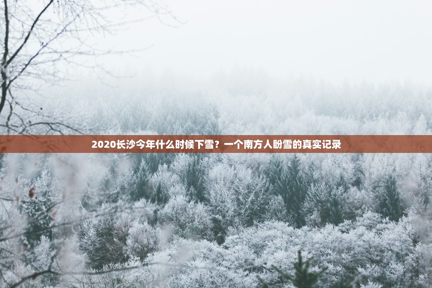 2020长沙今年什么时候下雪？一个南方人盼雪的真实记录