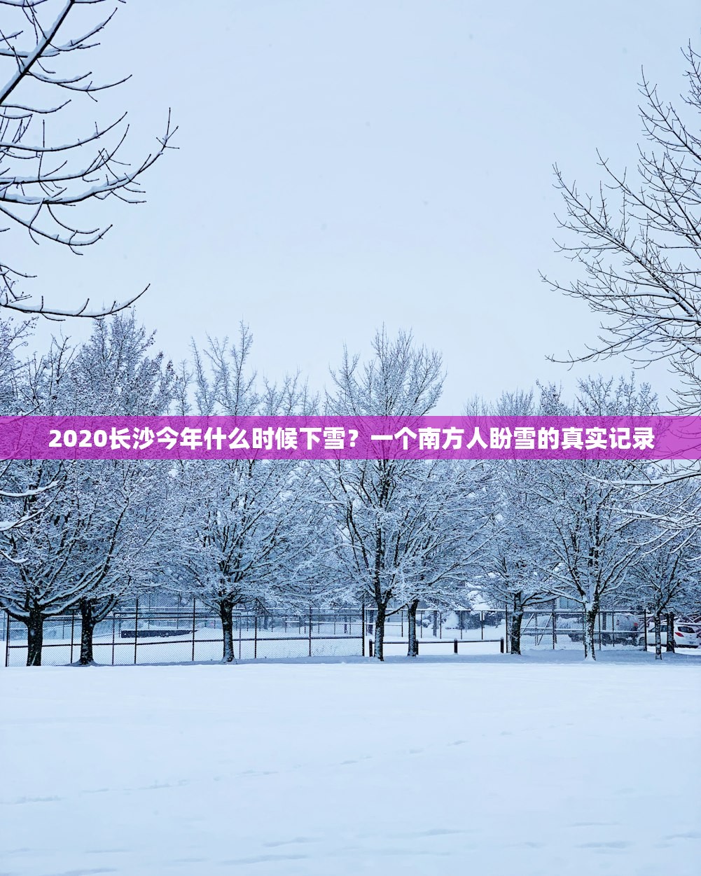 2020长沙今年什么时候下雪？一个南方人盼雪的真实记录