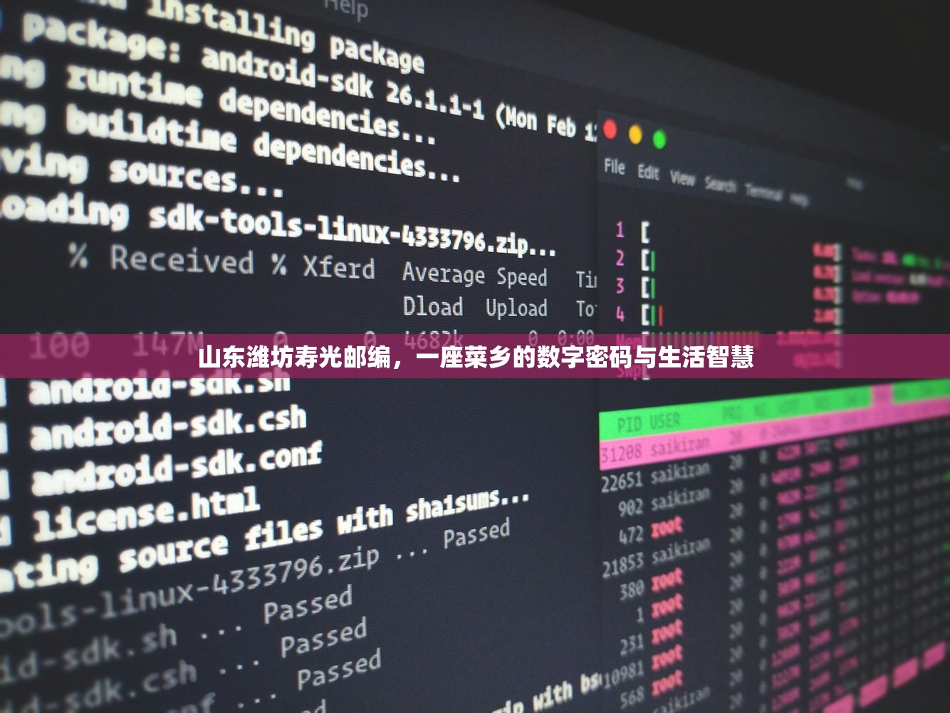 山东潍坊寿光邮编，一座菜乡的数字密码与生活智慧