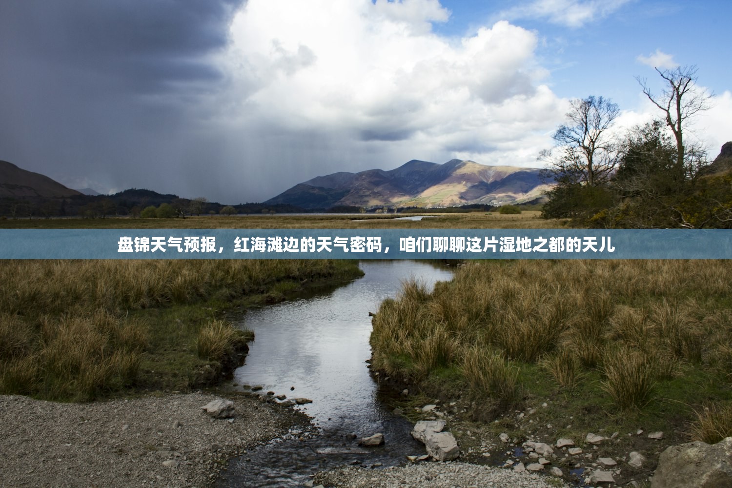 盘锦天气预报，红海滩边的天气密码，咱们聊聊这片湿地之都的天儿