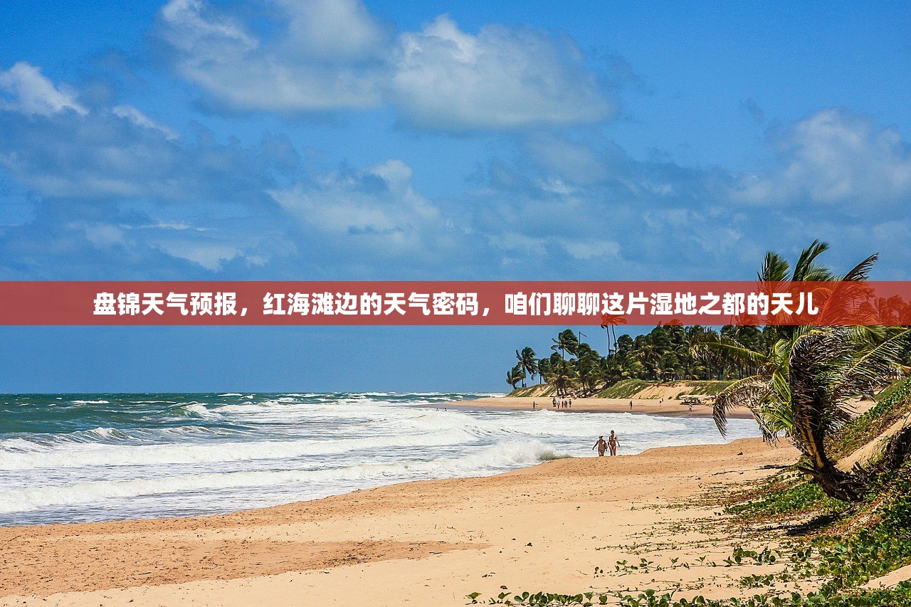 盘锦天气预报，红海滩边的天气密码，咱们聊聊这片湿地之都的天儿