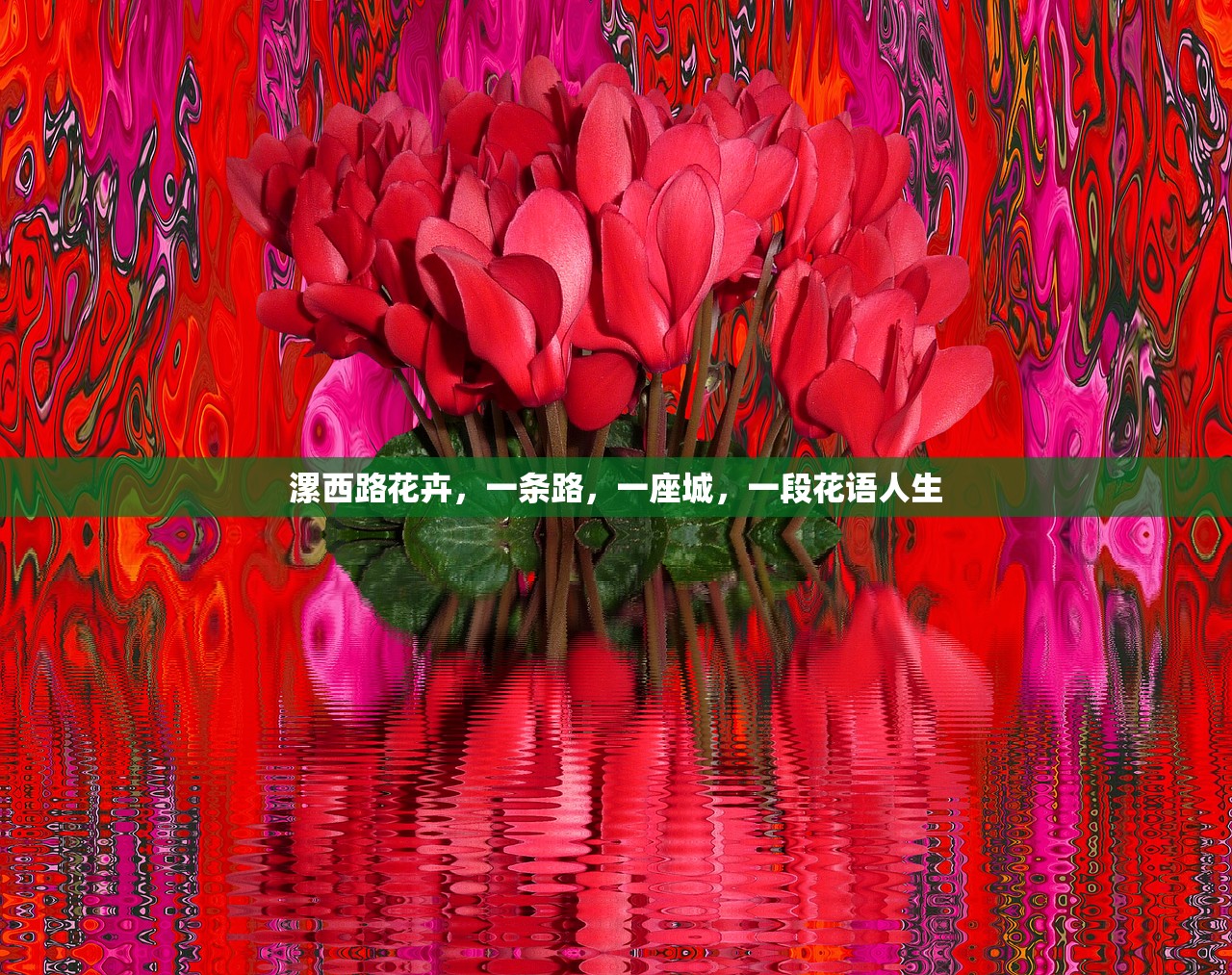 漯西路花卉，一条路，一座城，一段花语人生