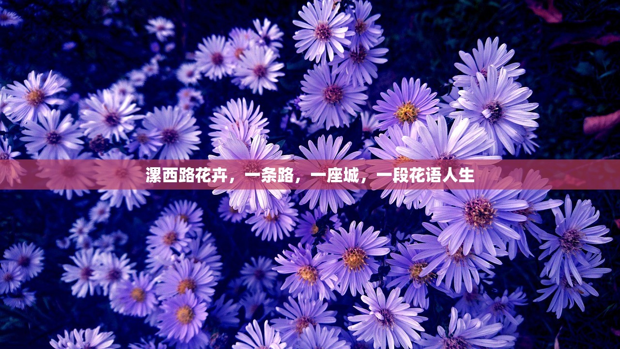 漯西路花卉，一条路，一座城，一段花语人生